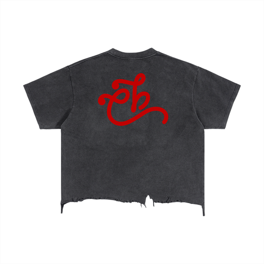Called Boxy Distressed Hem T-Shirt